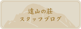 スタッフブログ